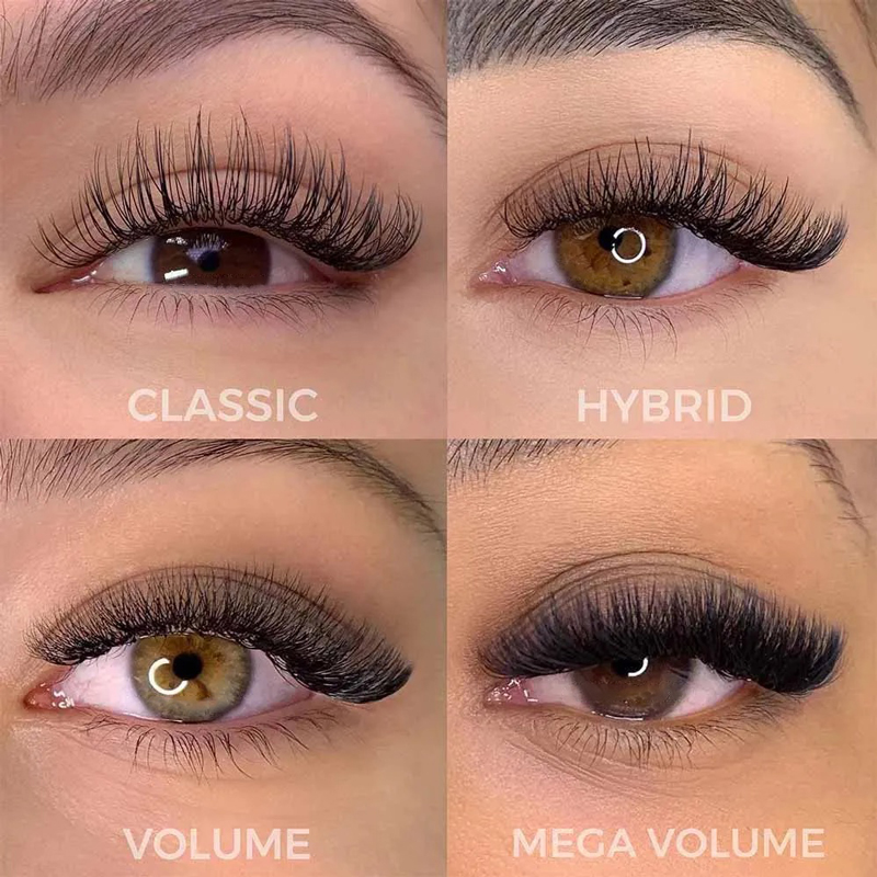 Hybrid New Set Hybrid New Set